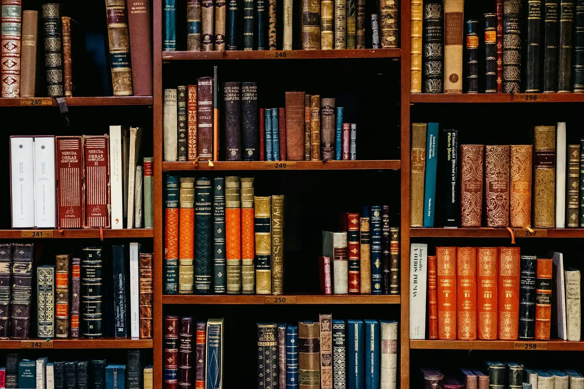 Warm wooden bookshelf filled with Iu Mien books representing the Heritage Press collection